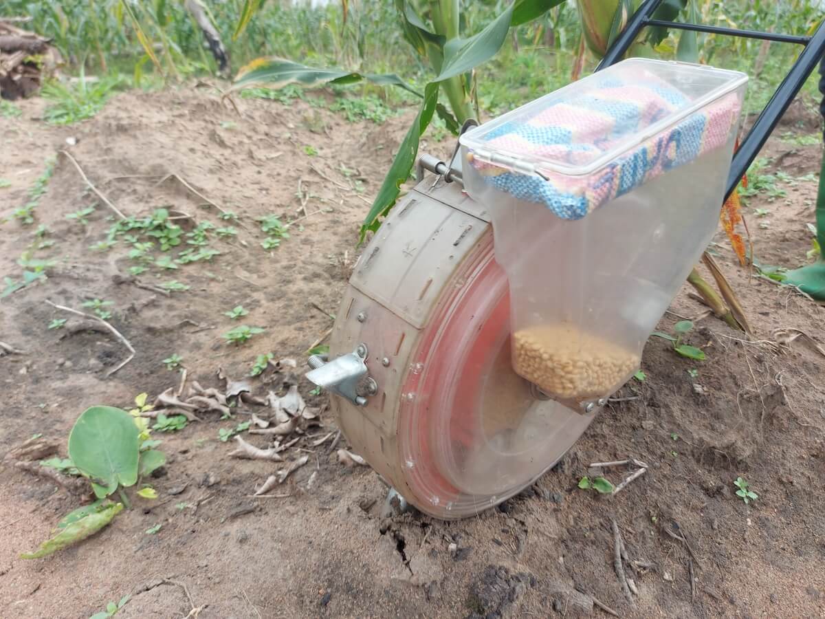 Immagine del Progetto AgriBio Nel campo biologico seminiamo opportunità