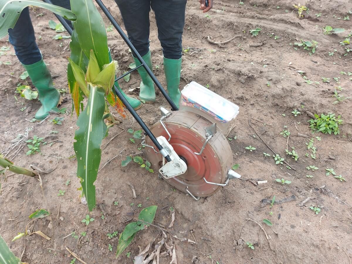 Immagine del Progetto AgriBio Nel campo biologico seminiamo opportunità