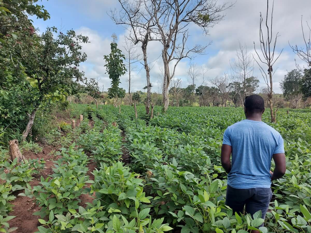 Immagine del Progetto AgriBio Nel campo biologico seminiamo opportunità