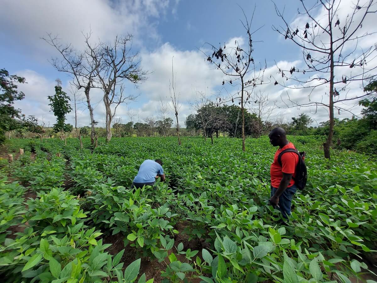 Immagine del Progetto AgriBio Nel campo biologico seminiamo opportunità
