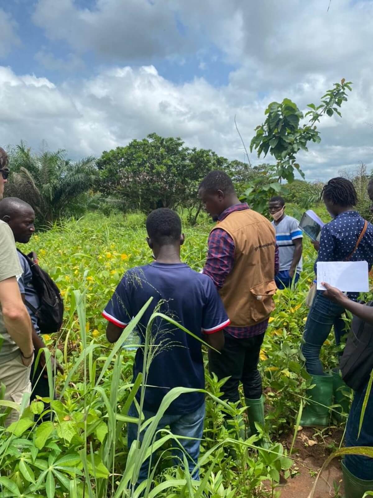 Immagine del Progetto AgriBio Nel campo biologico seminiamo opportunità