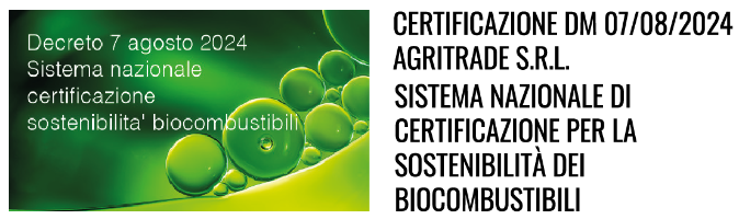 Logo Certificazione Certificazione DM